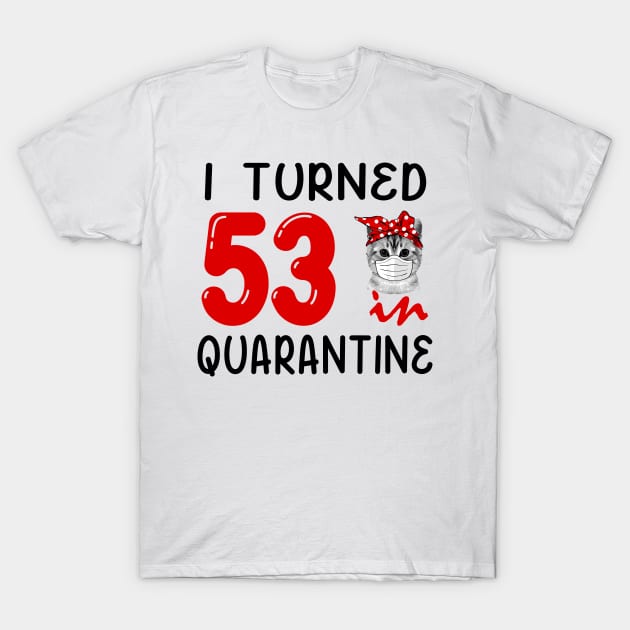 I Turned 53 In Quarantine Funny Cat Facemask T-Shirt by David Darry